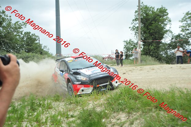 DSC_7153.JPG